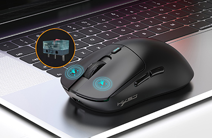 Mouse